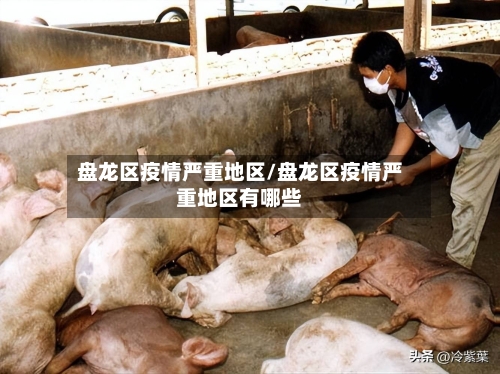 盘龙区疫情严重地区/盘龙区疫情严重地区有哪些-第1张图片