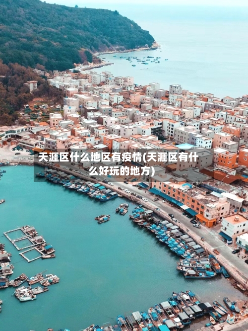 天涯区什么地区有疫情(天涯区有什么好玩的地方)-第2张图片