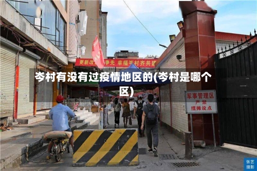 岑村有没有过疫情地区的(岑村是哪个区)-第2张图片
