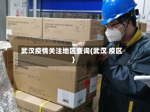 武汉疫情关注地区查询(武汉 疫区)-第1张图片