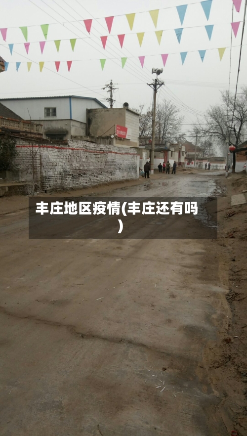 丰庄地区疫情(丰庄还有吗)-第2张图片
