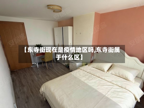 【东寺街现在是疫情地区吗,东寺街属于什么区】-第2张图片