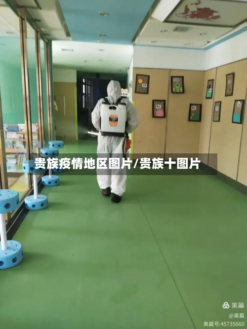 贵族疫情地区图片/贵族十图片-第3张图片