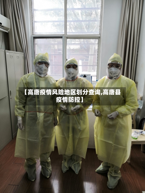 【高唐疫情风险地区划分查询,高唐县疫情防控】-第3张图片