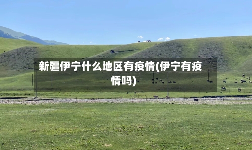 新疆伊宁什么地区有疫情(伊宁有疫情吗)-第2张图片