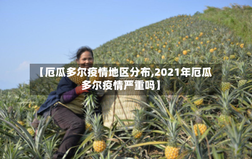 【厄瓜多尔疫情地区分布,2021年厄瓜多尔疫情严重吗】-第2张图片