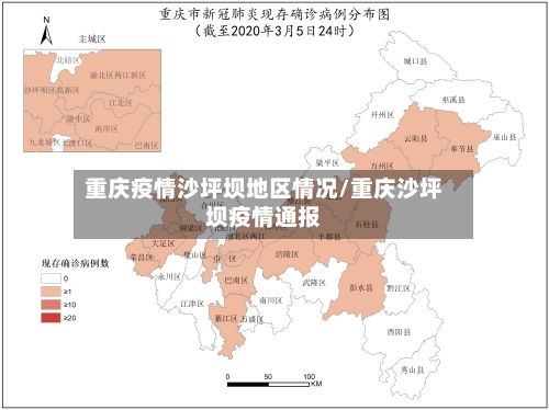 重庆疫情沙坪坝地区情况/重庆沙坪坝疫情通报-第3张图片