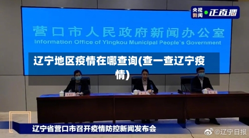 辽宁地区疫情在哪查询(查一查辽宁疫情)-第2张图片