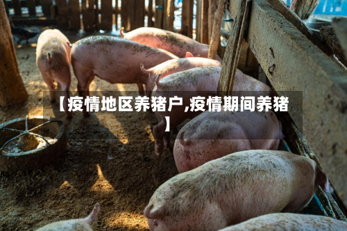【疫情地区养猪户,疫情期间养猪】-第1张图片