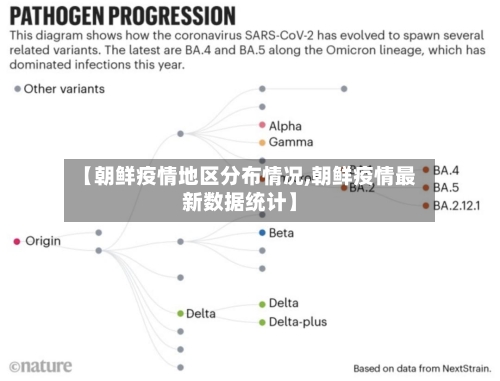 【朝鲜疫情地区分布情况,朝鲜疫情最新数据统计】-第3张图片