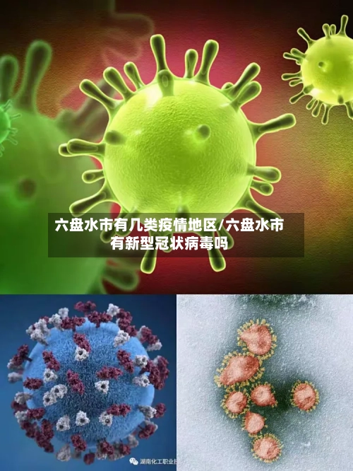 六盘水市有几类疫情地区/六盘水市有新型冠状病毒吗-第1张图片