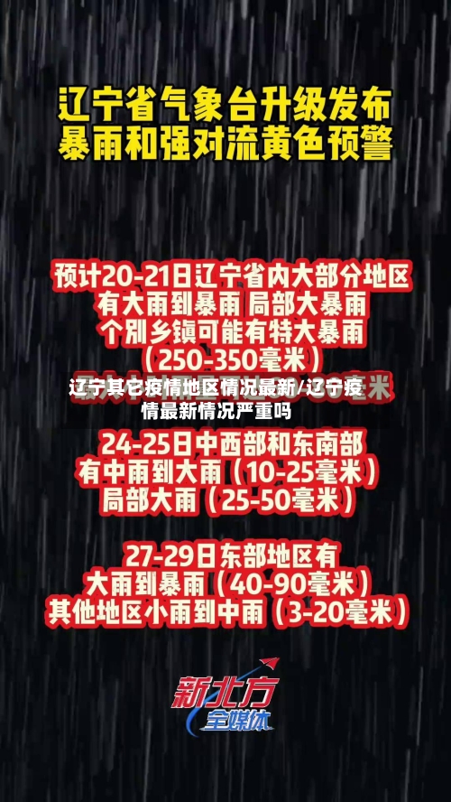 辽宁其它疫情地区情况最新/辽宁疫情最新情况严重吗-第2张图片