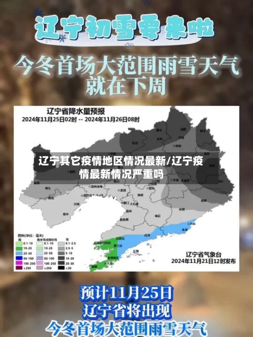 辽宁其它疫情地区情况最新/辽宁疫情最新情况严重吗-第3张图片