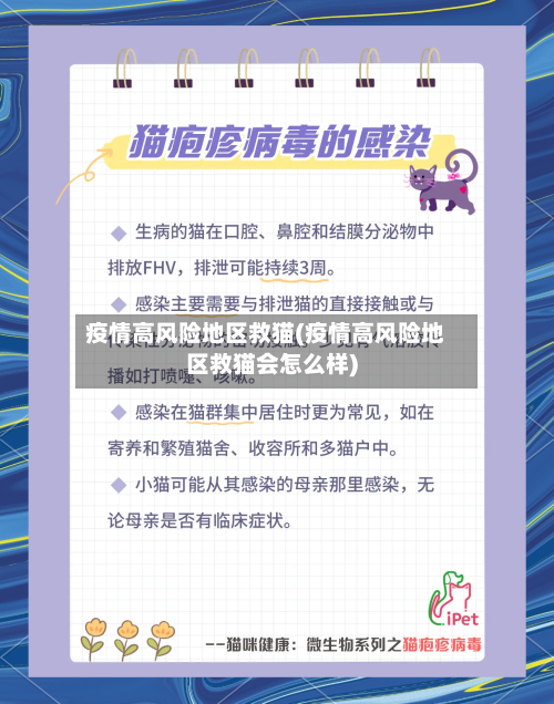 疫情高风险地区救猫(疫情高风险地区救猫会怎么样)-第1张图片