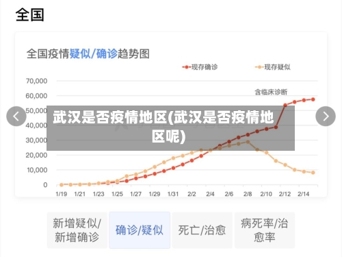 武汉是否疫情地区(武汉是否疫情地区呢)-第2张图片