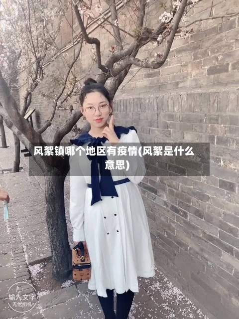 风絮镇哪个地区有疫情(风絮是什么意思)-第2张图片