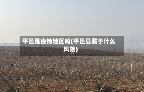 平邑是疫情地区吗(平邑县属于什么风险)-第3张图片