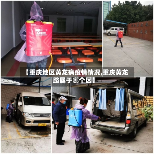 【重庆地区黄龙病疫情情况,重庆黄龙路属于哪个区】-第2张图片