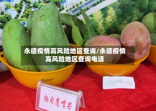 永德疫情高风险地区查询/永德疫情高风险地区查询电话-第2张图片