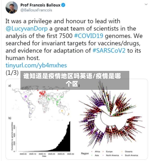 谁知道是疫情地区吗英语/疫情是哪个区-第1张图片