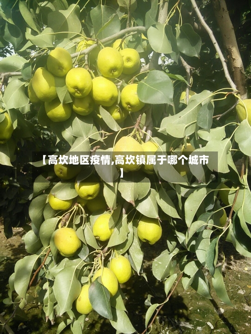 【高坎地区疫情,高坎镇属于哪个城市】-第1张图片