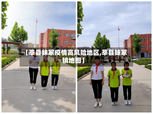 【莘县妹冢疫情高风险地区,莘县妹冢镇地图】-第2张图片