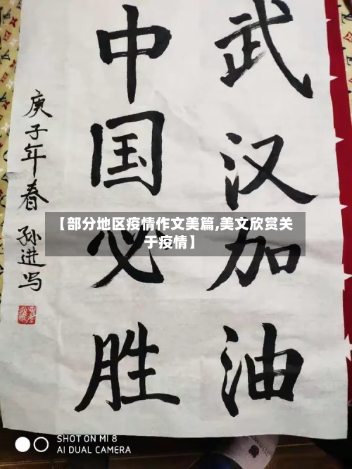 【部分地区疫情作文美篇,美文欣赏关于疫情】-第2张图片