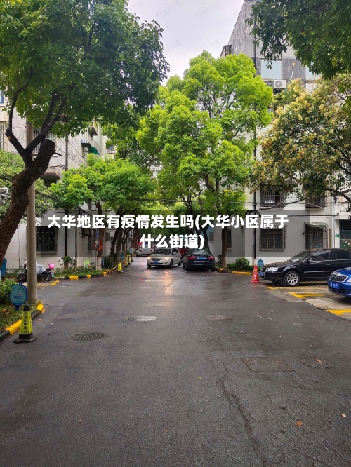 大华地区有疫情发生吗(大华小区属于什么街道)-第2张图片