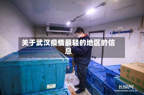 关于武汉疫情最轻的地区的信息-第2张图片