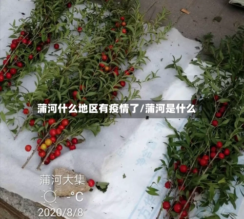 蒲河什么地区有疫情了/蒲河是什么-第1张图片