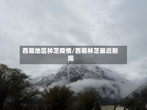 西藏地区林芝疫情/西藏林芝最近新闻-第1张图片