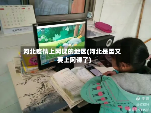 河北疫情上网课的地区(河北是否又要上网课了)-第2张图片
