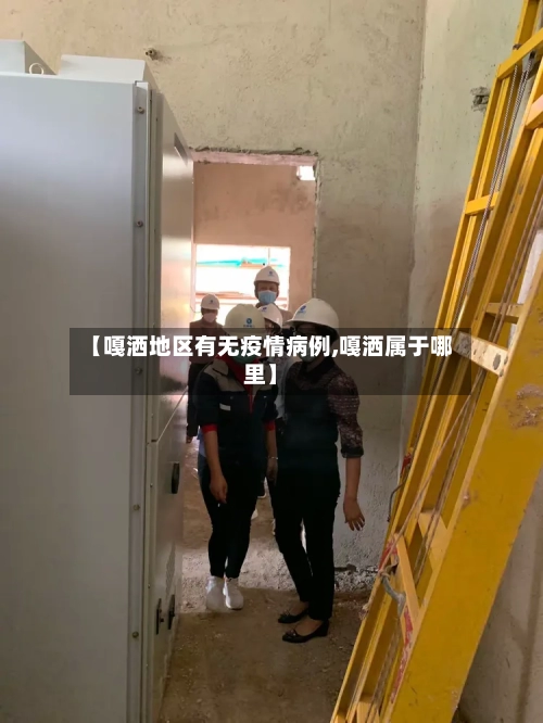 【嘎洒地区有无疫情病例,嘎洒属于哪里】-第1张图片