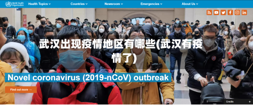 武汉出现疫情地区有哪些(武汉有疫情了)-第1张图片