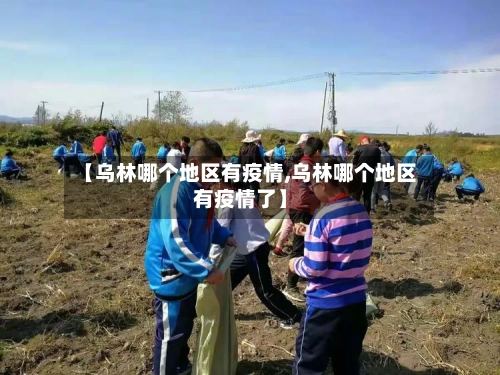 【乌林哪个地区有疫情,乌林哪个地区有疫情了】-第2张图片