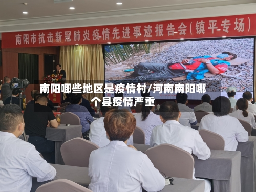 南阳哪些地区是疫情村/河南南阳哪个县疫情严重-第2张图片