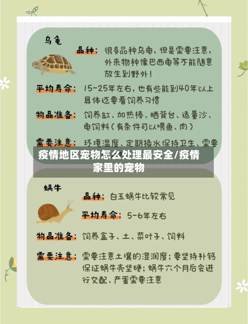 疫情地区宠物怎么处理最安全/疫情家里的宠物-第1张图片