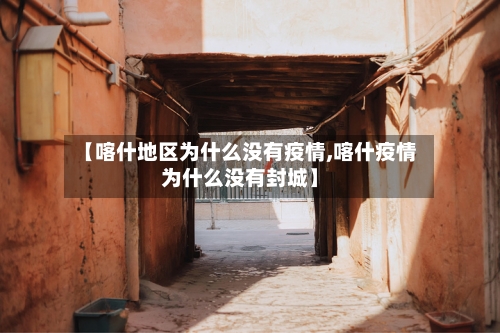 【喀什地区为什么没有疫情,喀什疫情为什么没有封城】-第2张图片