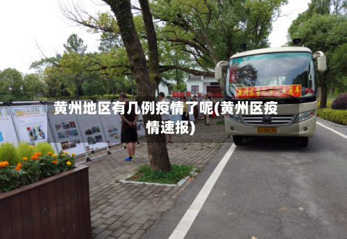 黄州地区有几例疫情了呢(黄州区疫情速报)-第3张图片