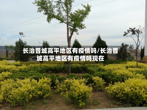 长治晋城高平地区有疫情吗/长治晋城高平地区有疫情吗现在-第2张图片