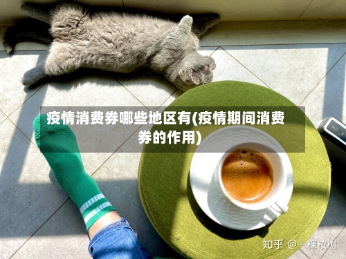疫情消费券哪些地区有(疫情期间消费券的作用)-第1张图片