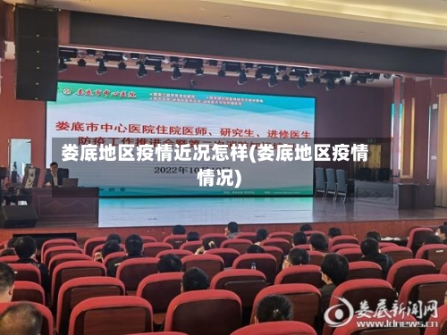 娄底地区疫情近况怎样(娄底地区疫情情况)-第3张图片