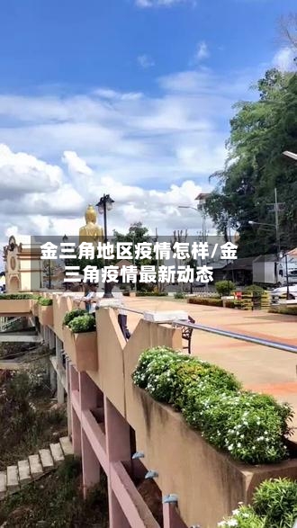 金三角地区疫情怎样/金三角疫情最新动态-第1张图片