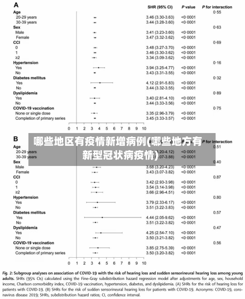 哪些地区有疫情新增病例(哪些地方有新型冠状病疫情)-第3张图片