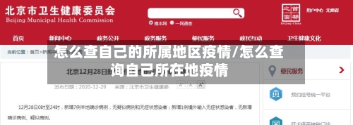 怎么查自己的所属地区疫情/怎么查询自己所在地疫情-第2张图片