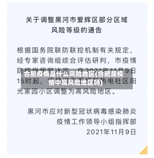 合肥疫情是什么风险地区(合肥是疫情中高风险地区吗)-第2张图片