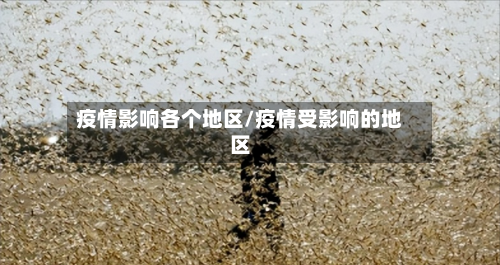 疫情影响各个地区/疫情受影响的地区-第3张图片