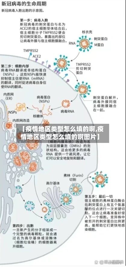 【疫情地区类型怎么填的啊,疫情地区类型怎么填的啊图片】-第1张图片