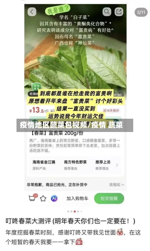 疫情地区蔬菜包视频/疫情 蔬菜-第1张图片