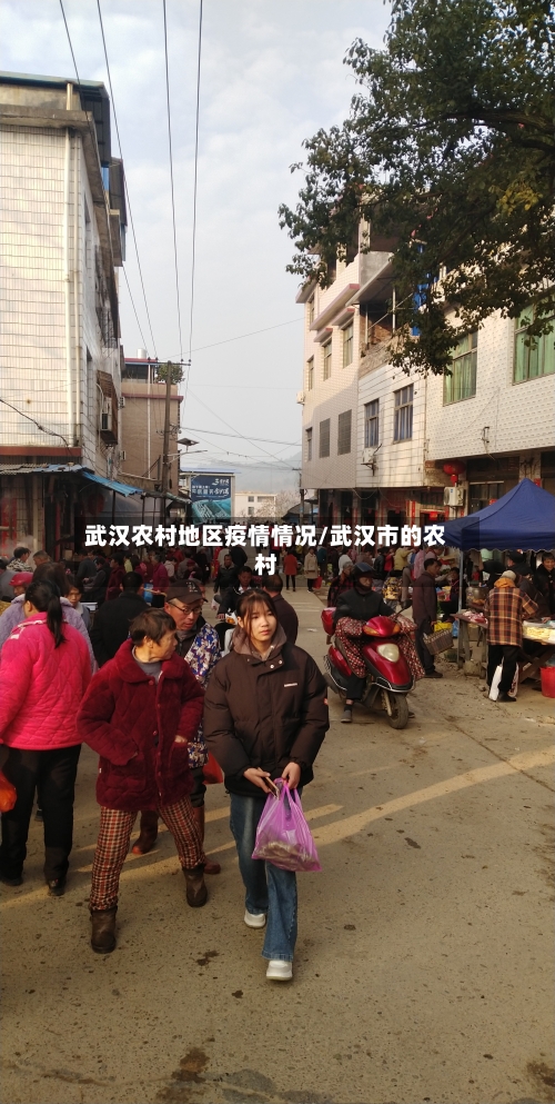 武汉农村地区疫情情况/武汉市的农村-第1张图片